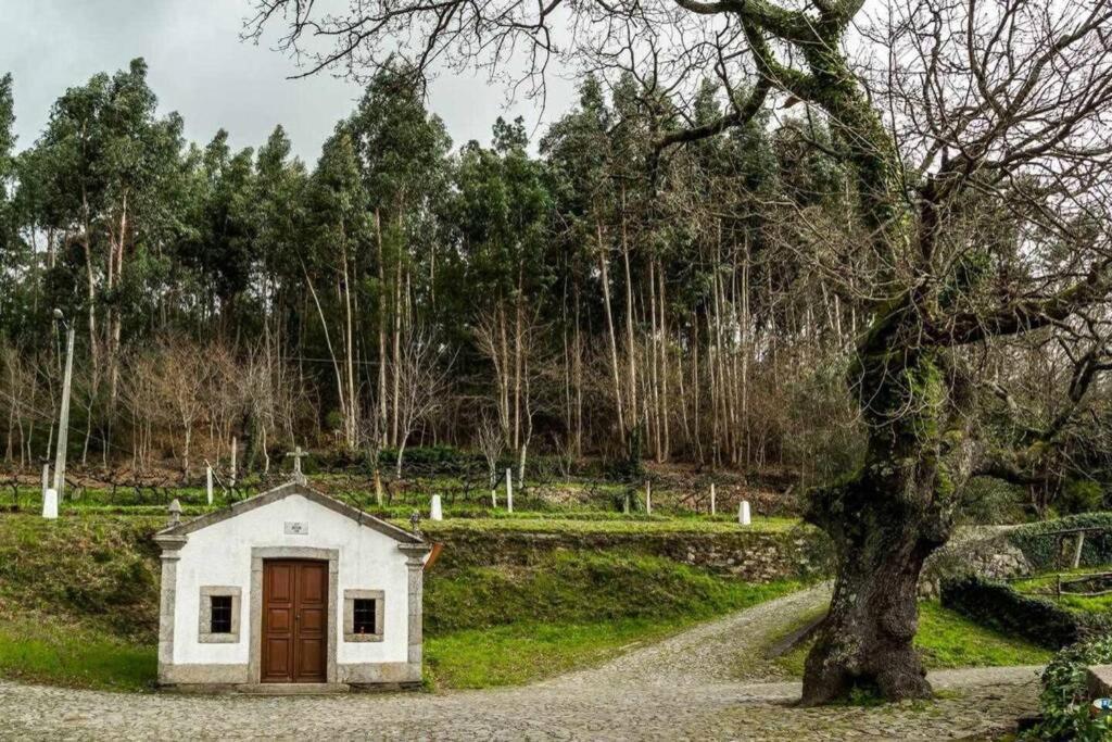 Viana Do Castelo - Amonde Village - Casa L - Disfrute Da Natureza Buitenkant foto