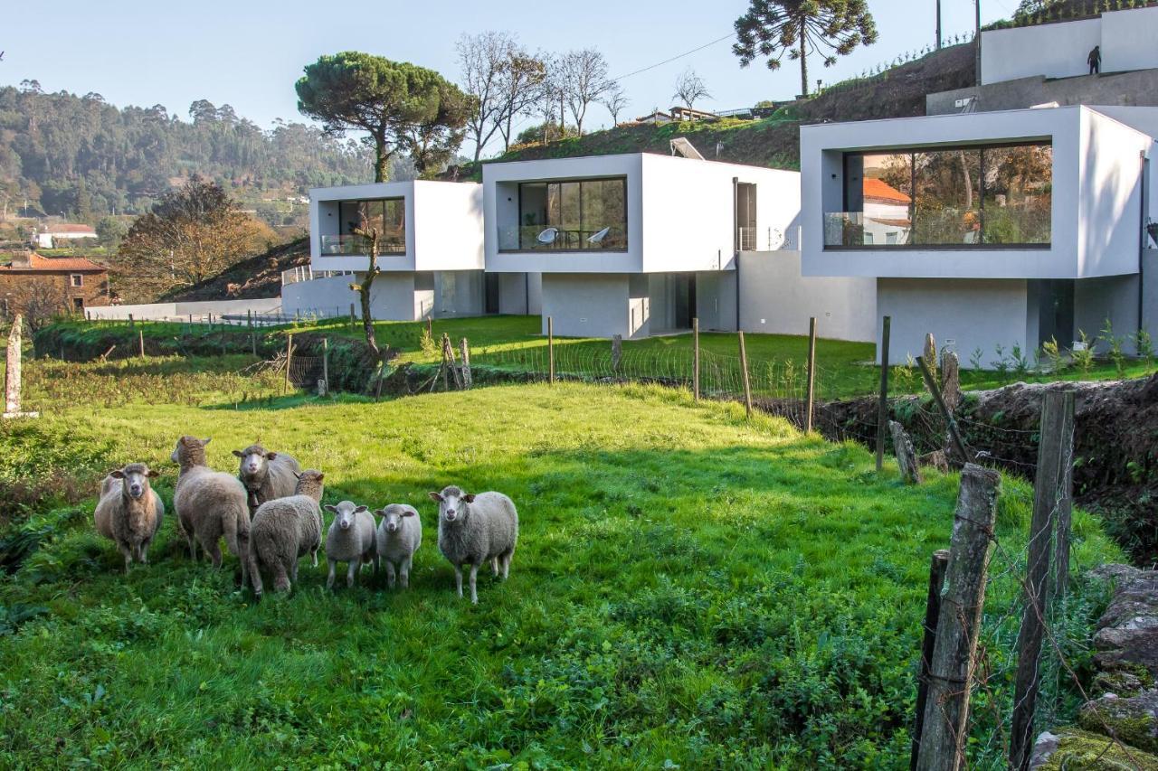 Viana Do Castelo - Amonde Village - Casa L - Disfrute Da Natureza Buitenkant foto